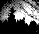 A black and white Game Boy Camera photo of evergreen trees silhouetted by the sky